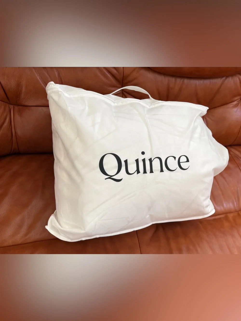 NWB Quince Lightweight Premium Down Duvet Insert